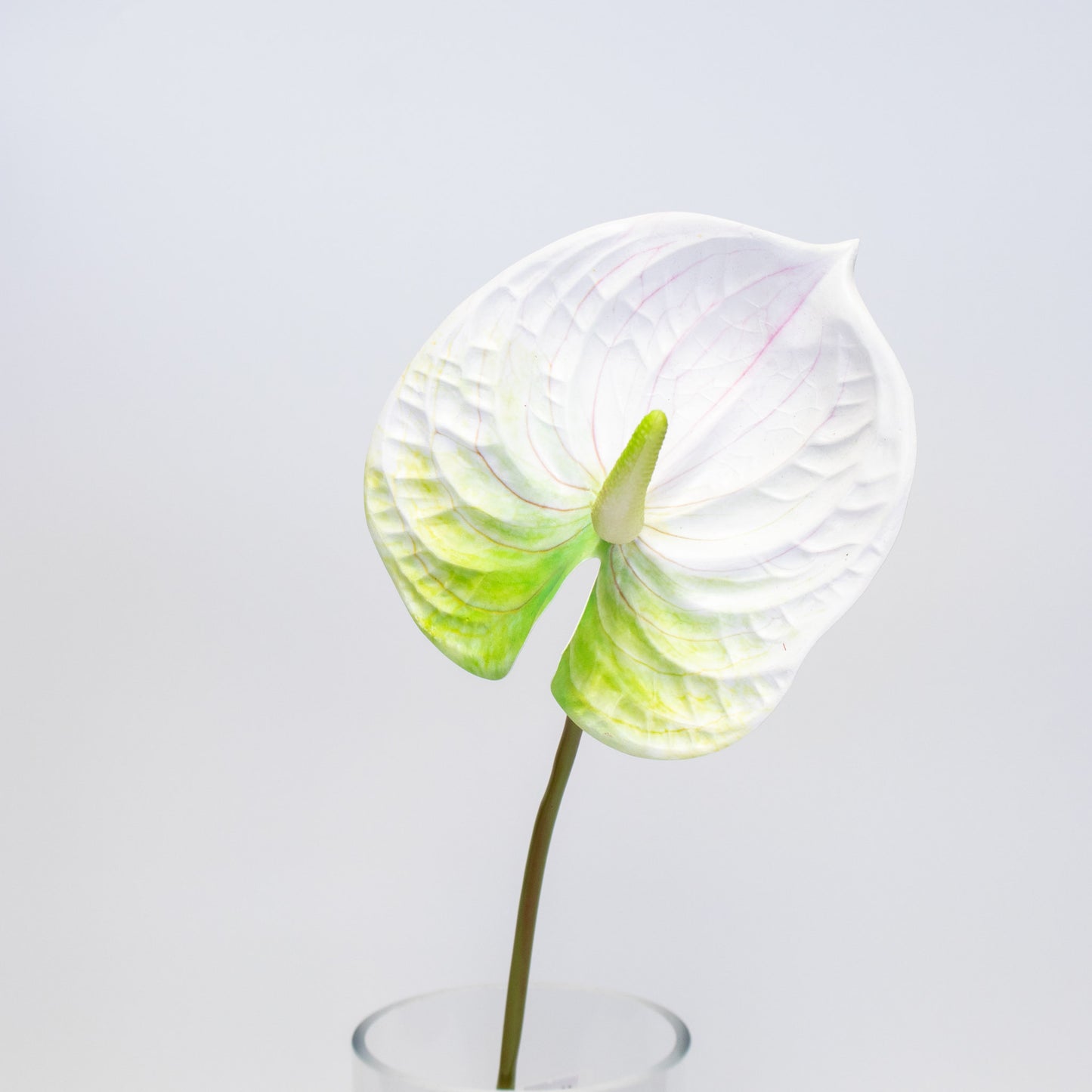 Artificial Anthurium