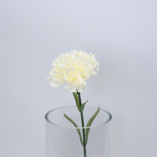 Realistic Carnation