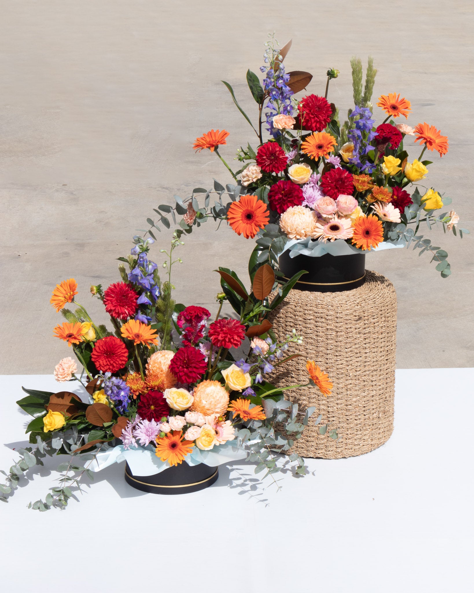 Boxed-Arrangement-Large-Colourful-Duo.jpg