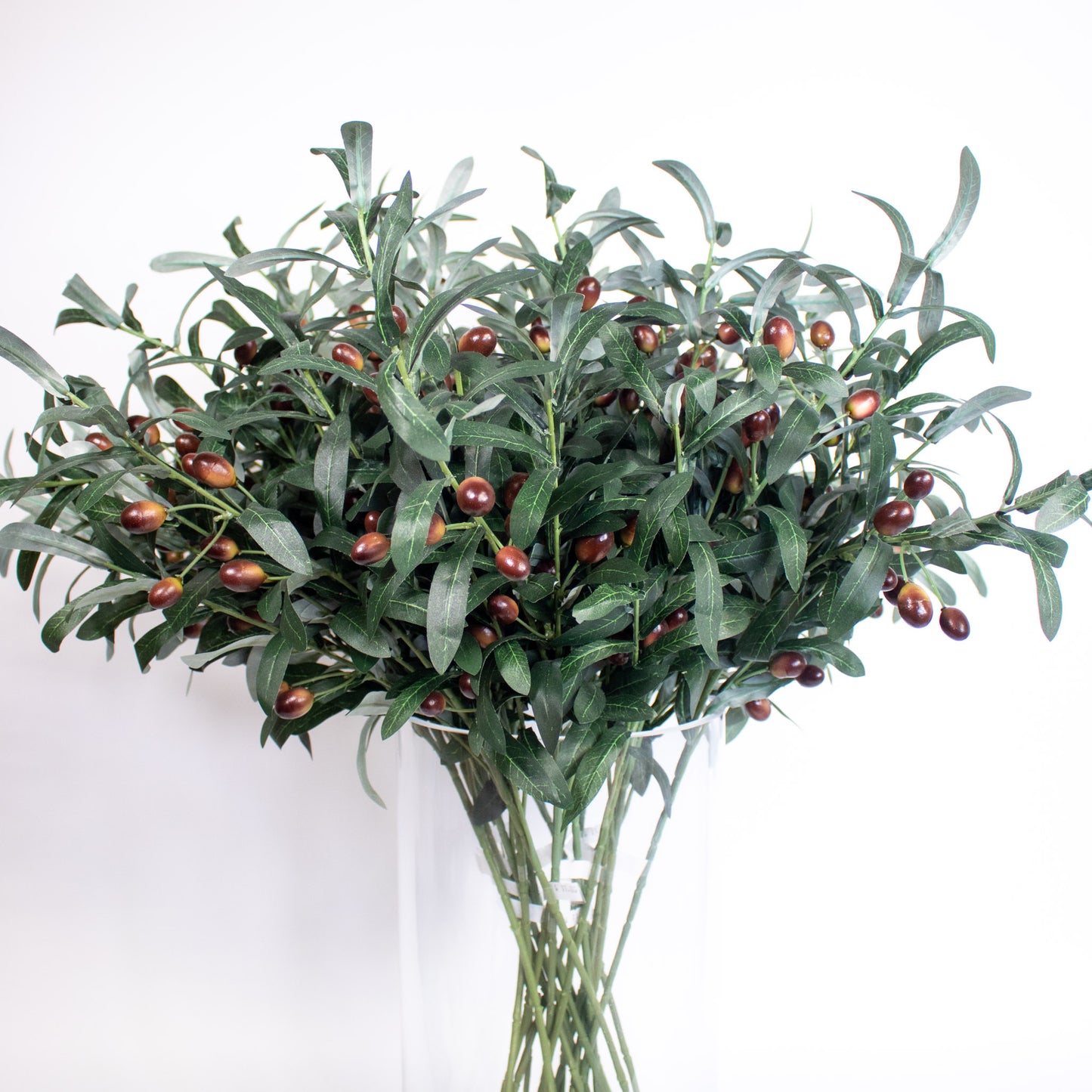 Olive Leaf Branches
