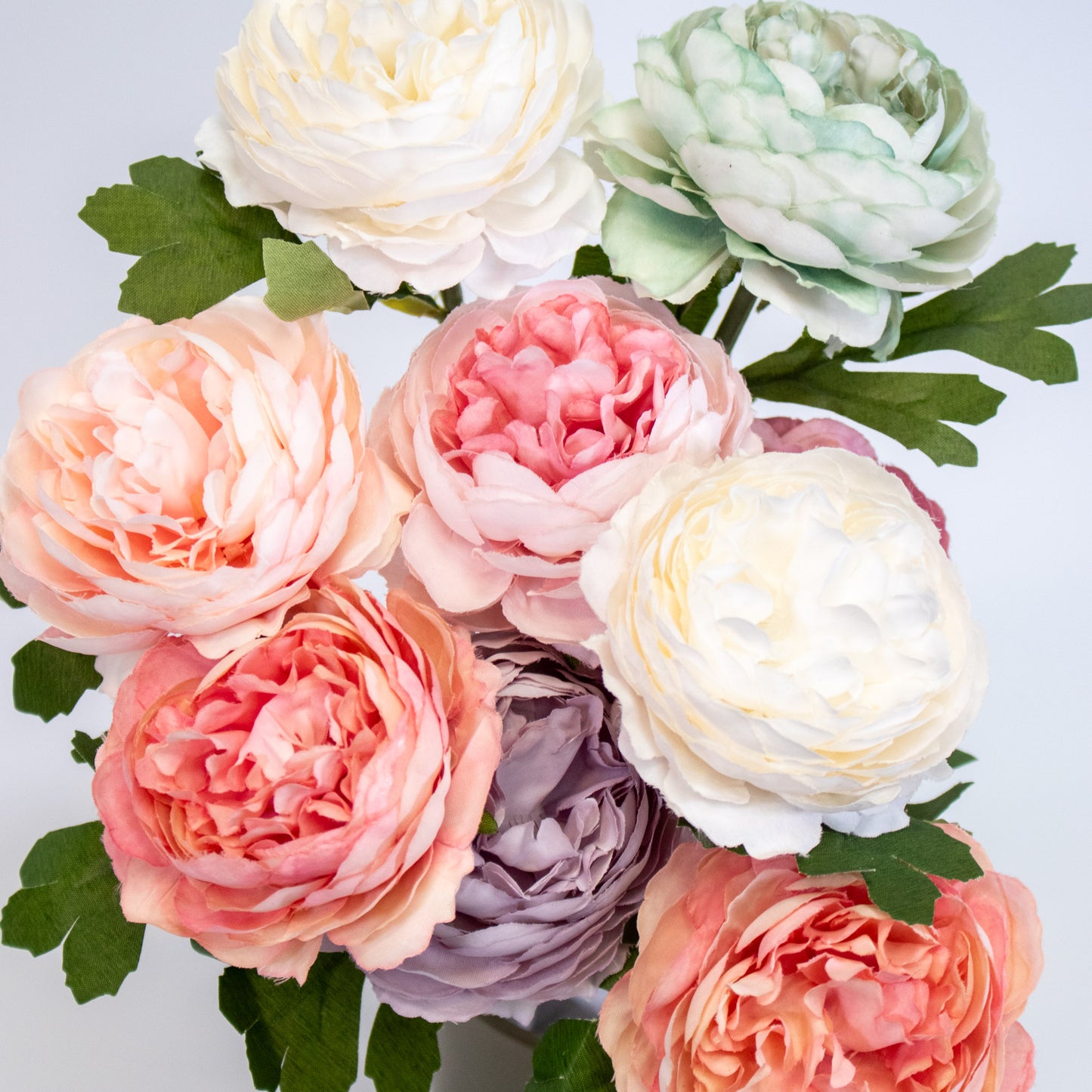 Realistic Ranunculus