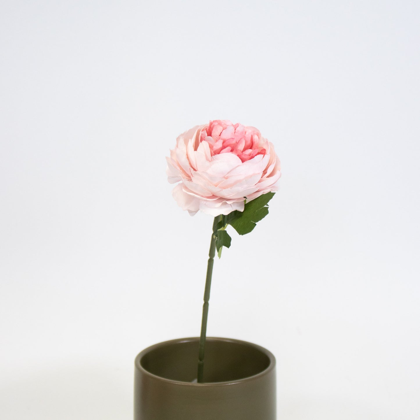 Realistic Ranunculus