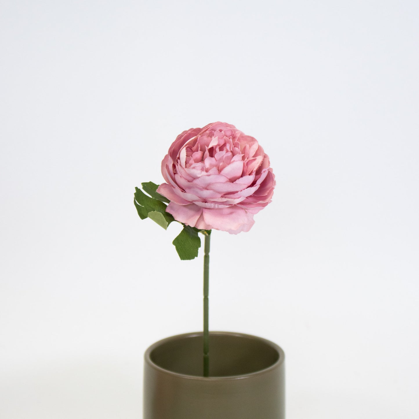 Realistic Ranunculus