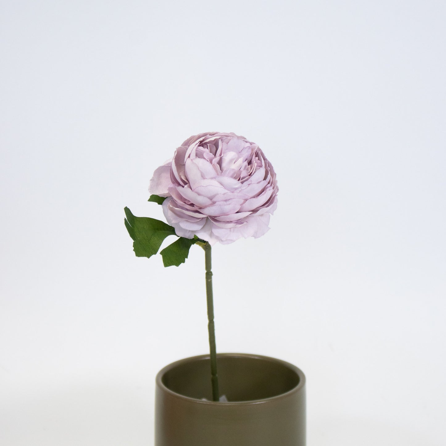 Realistic Ranunculus