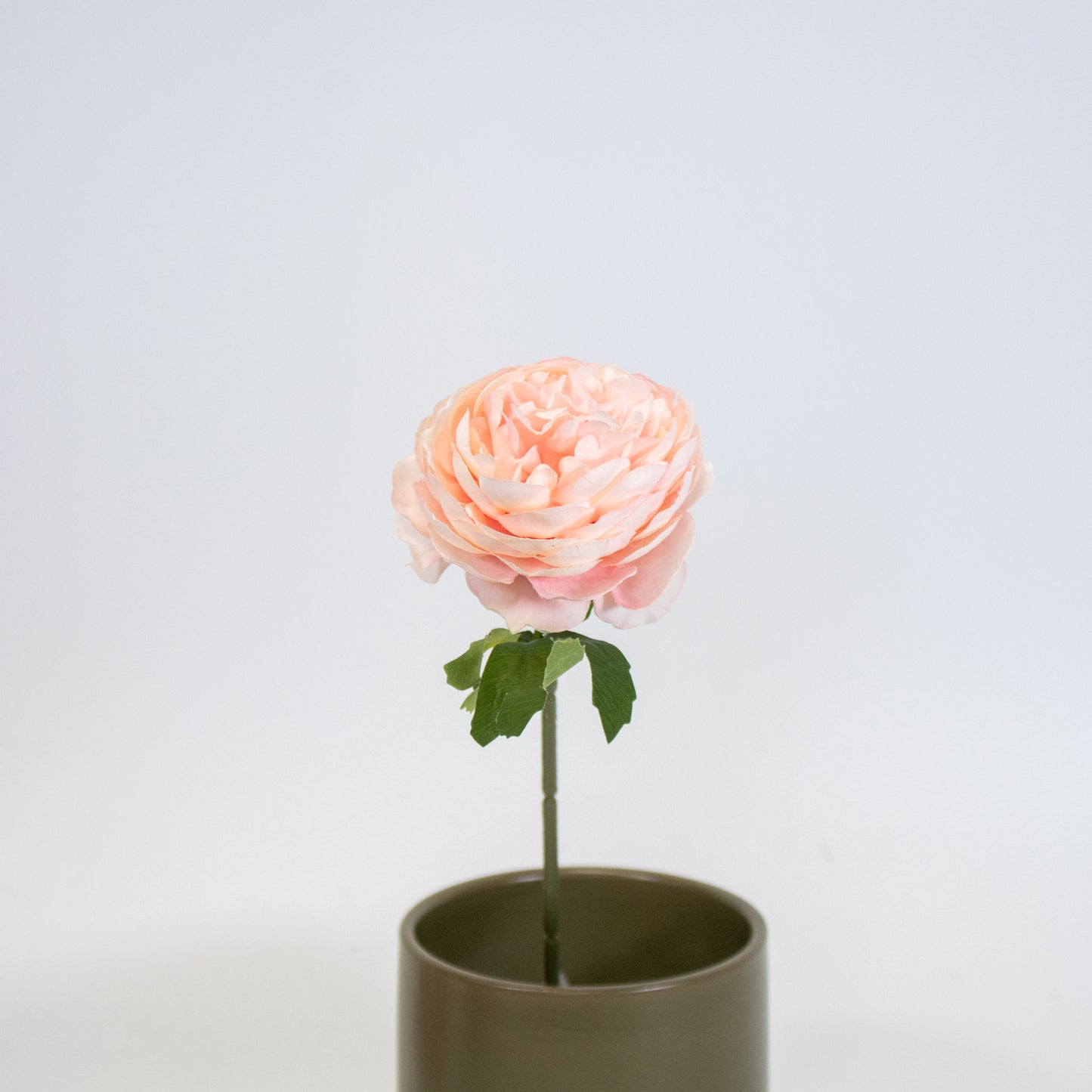 Realistic Ranunculus