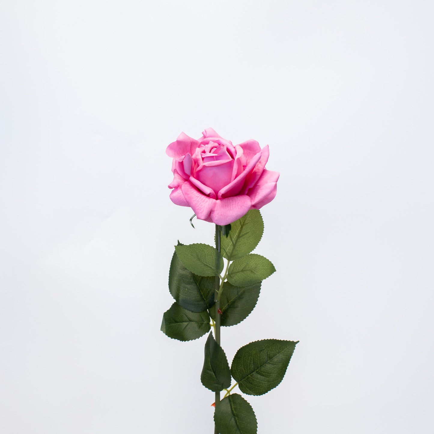 Realistic Silk-Like Rose – Long Stem