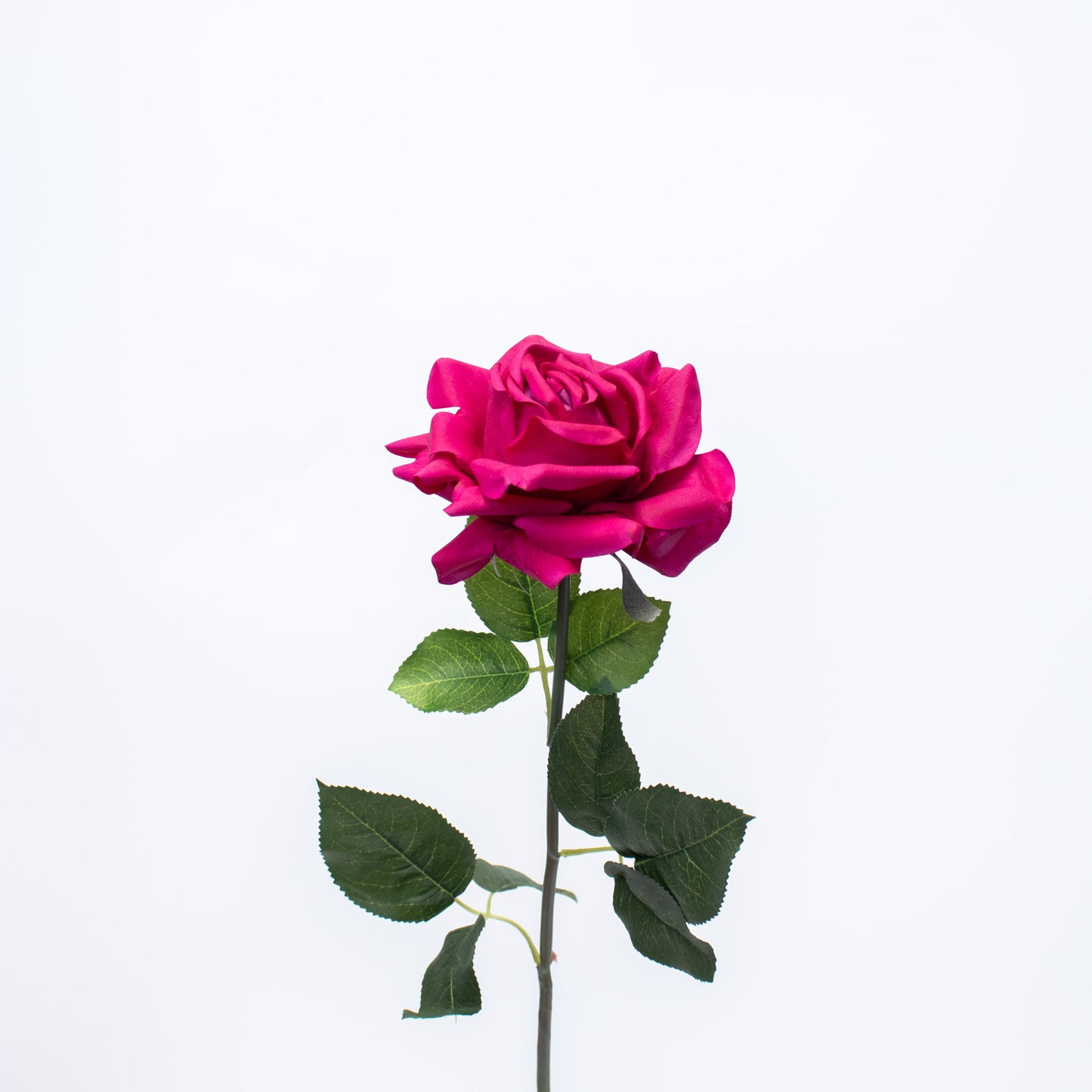 Realistic Silk-Like Rose – Long Stem