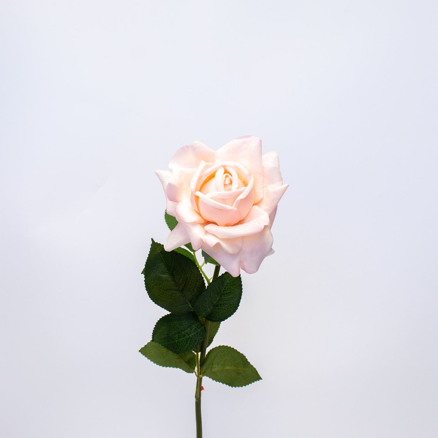 Realistic Silk-Like Rose – Long Stem