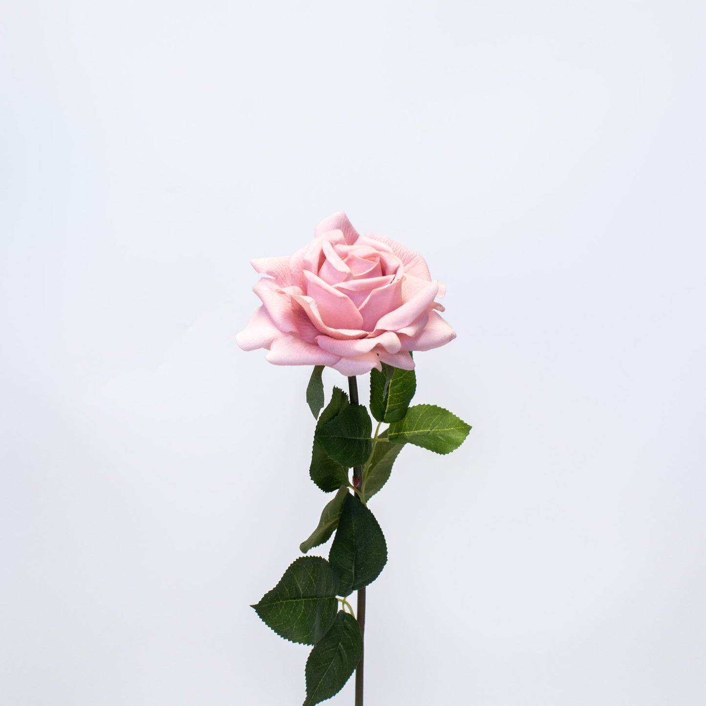 Realistic Silk-Like Rose – Long Stem