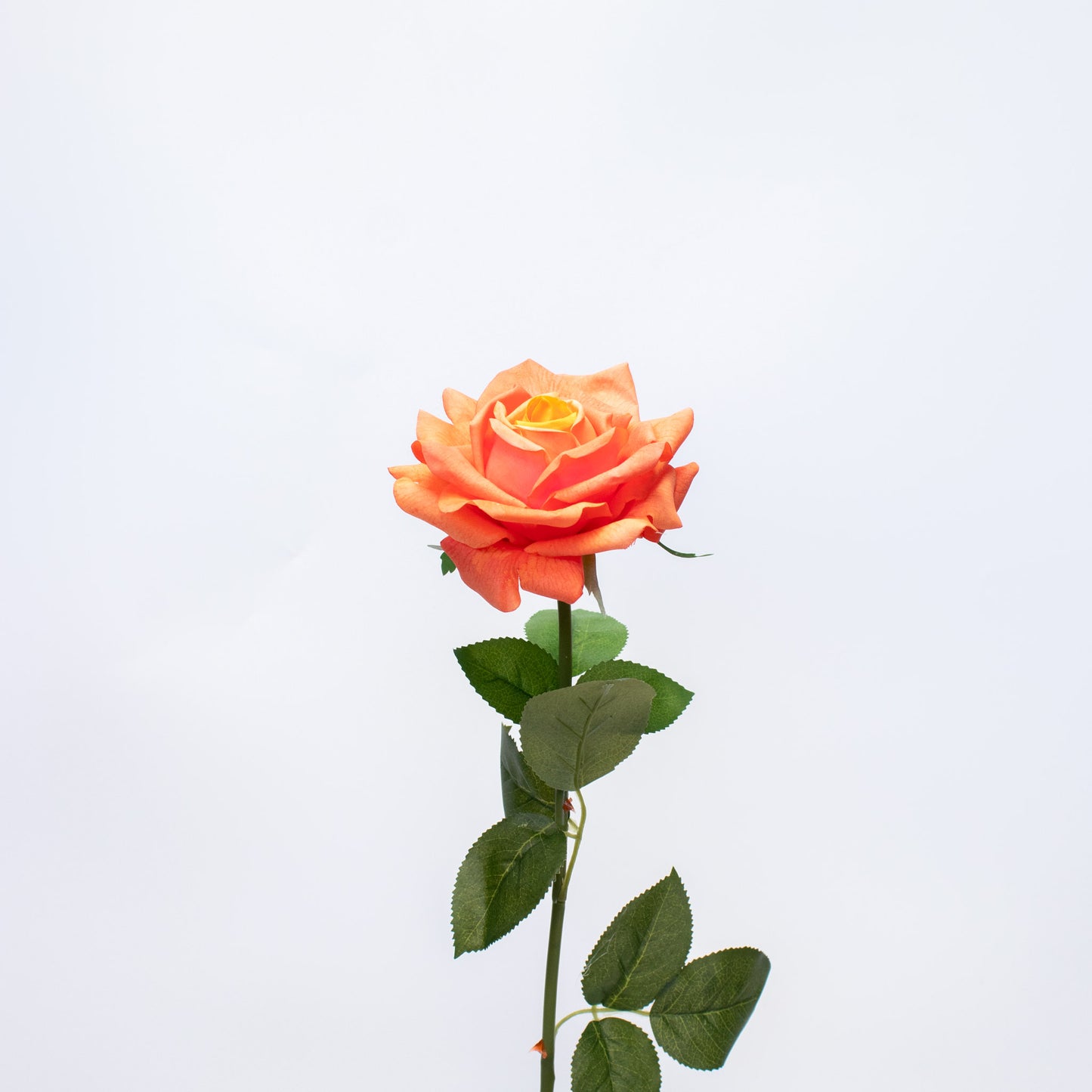 Realistic Silk-Like Rose – Long Stem