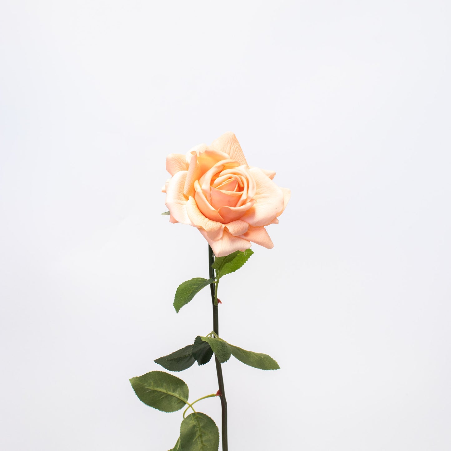 Realistic Silk-Like Rose – Long Stem