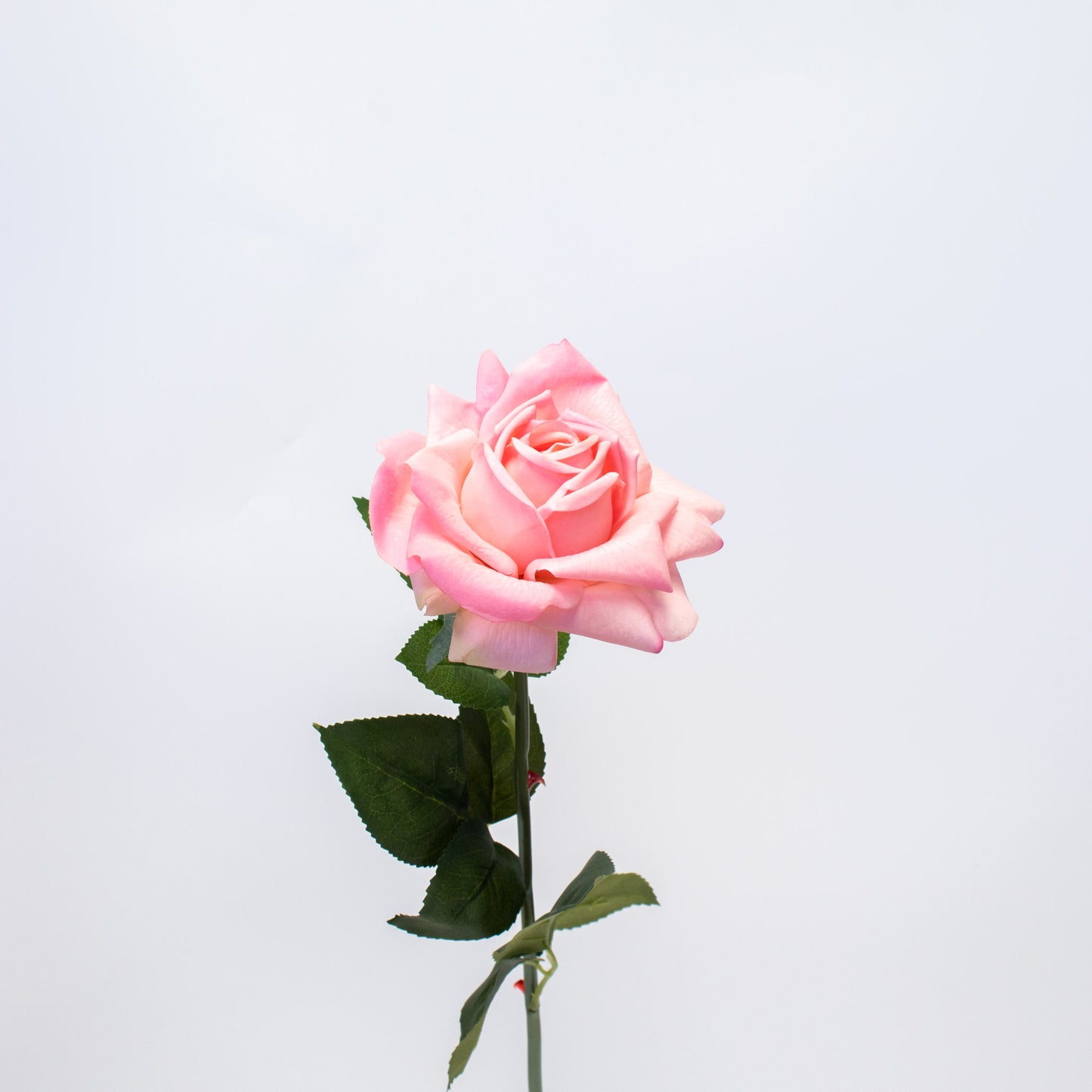 Realistic Silk-Like Rose – Long Stem