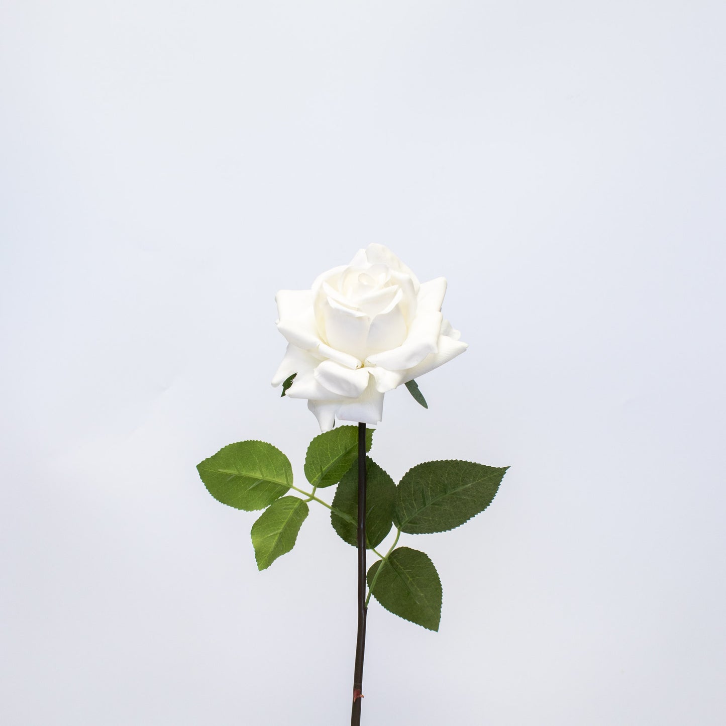 Realistic Silk-Like Rose – Long Stem