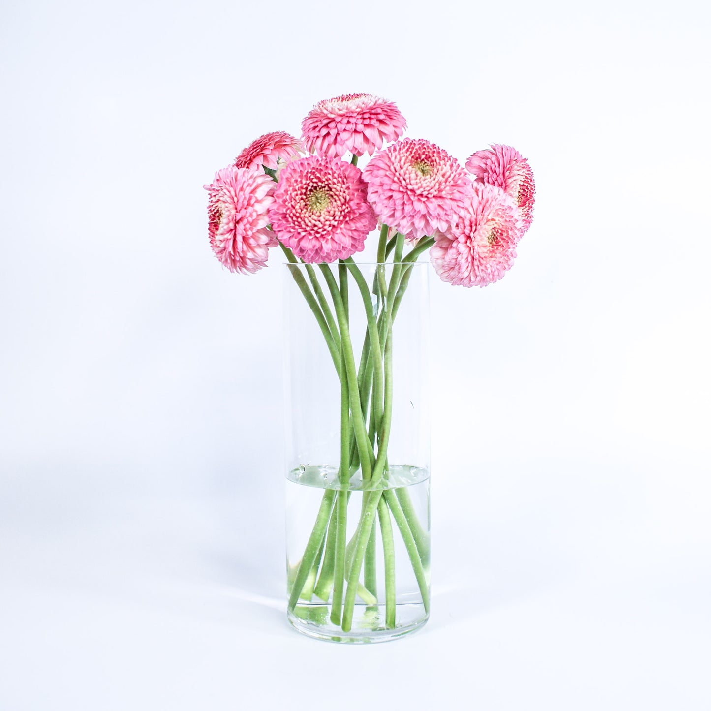 Cylinder Vase