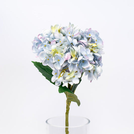 Hydrangea – Small