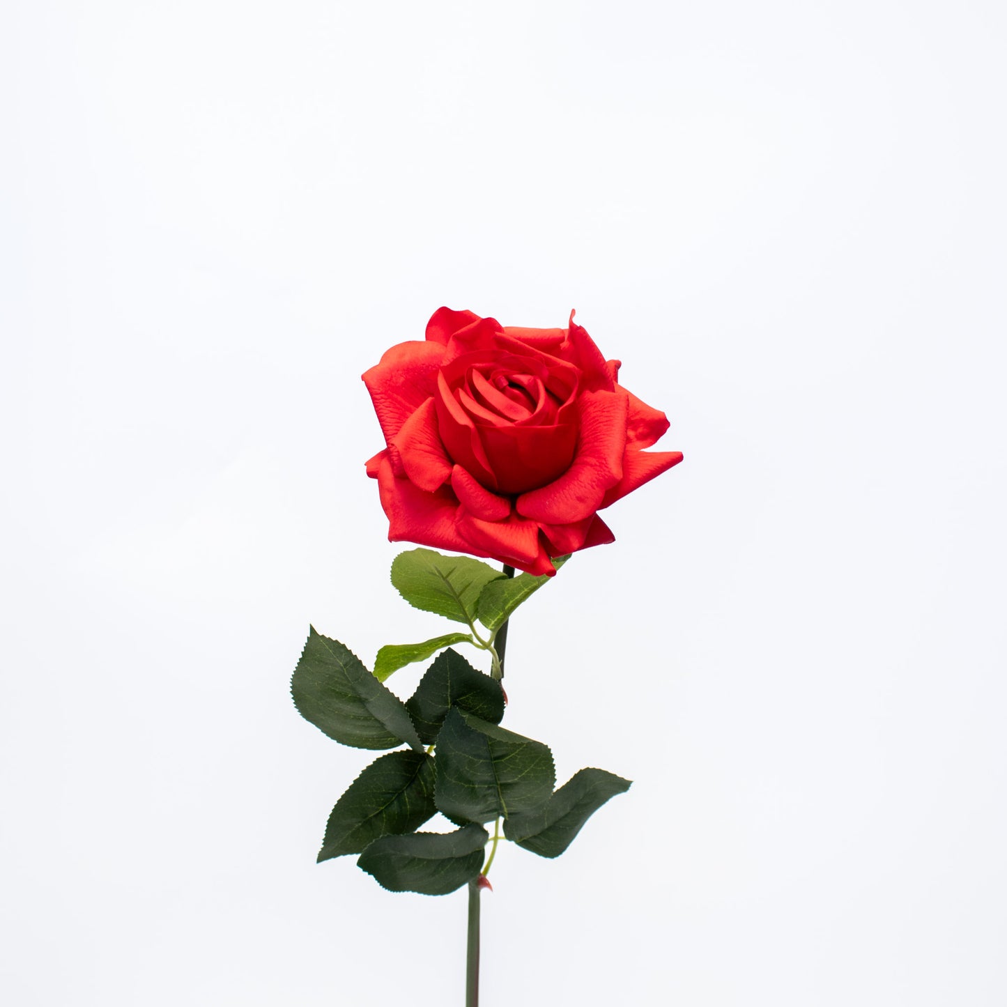 Realistic Silk-Like Rose – Long Stem