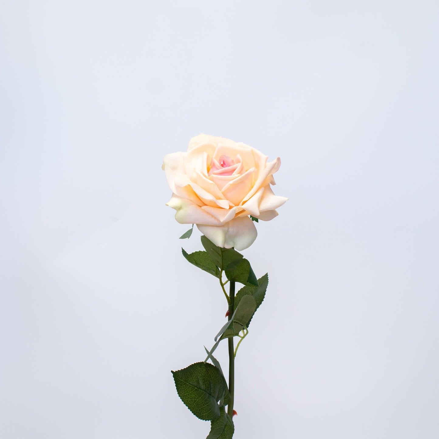 Realistic Silk-Like Rose – Long Stem