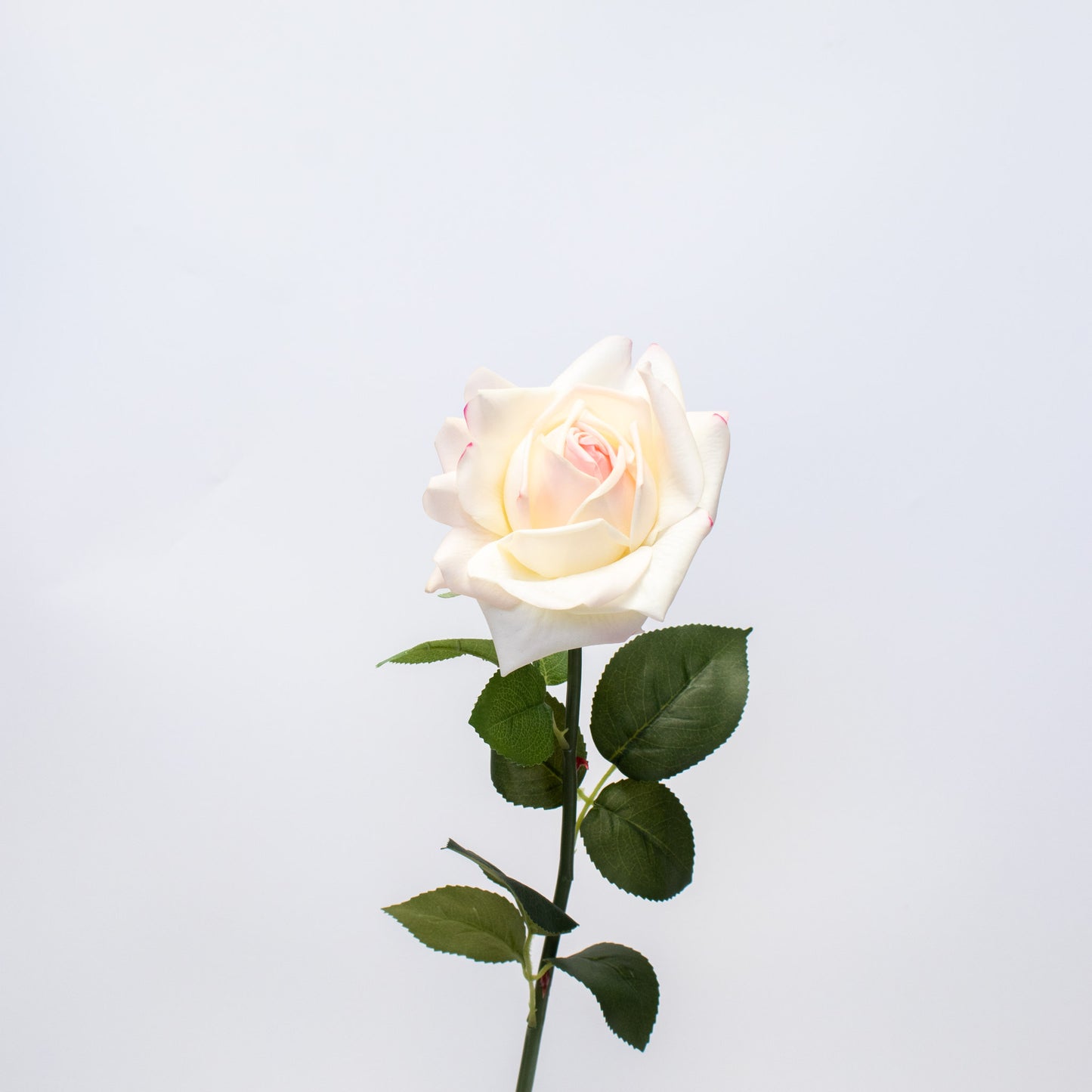 Realistic Silk-Like Rose – Long Stem