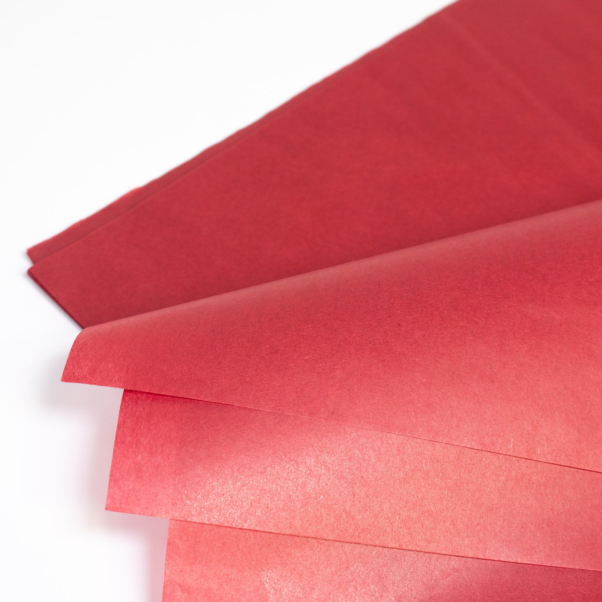 Burgundy Tissue Paper
