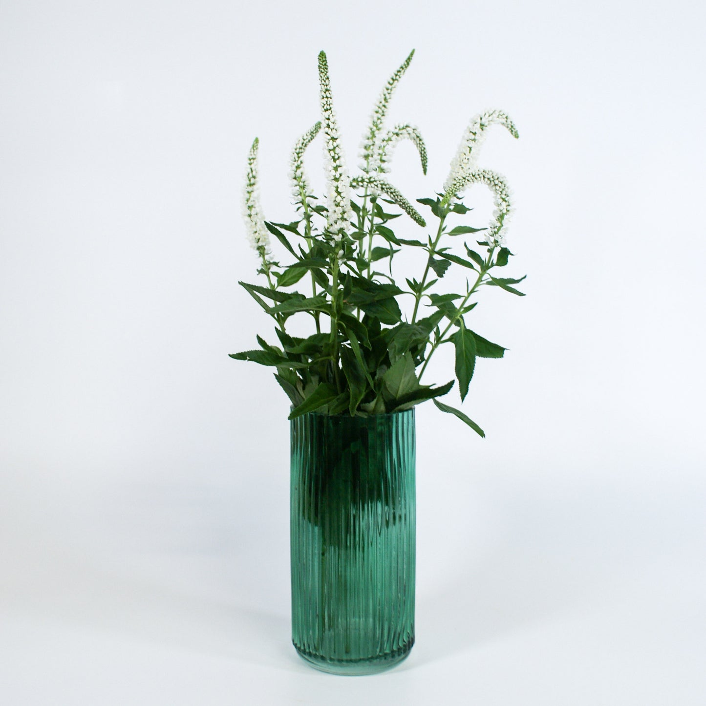 Ribbed Vase