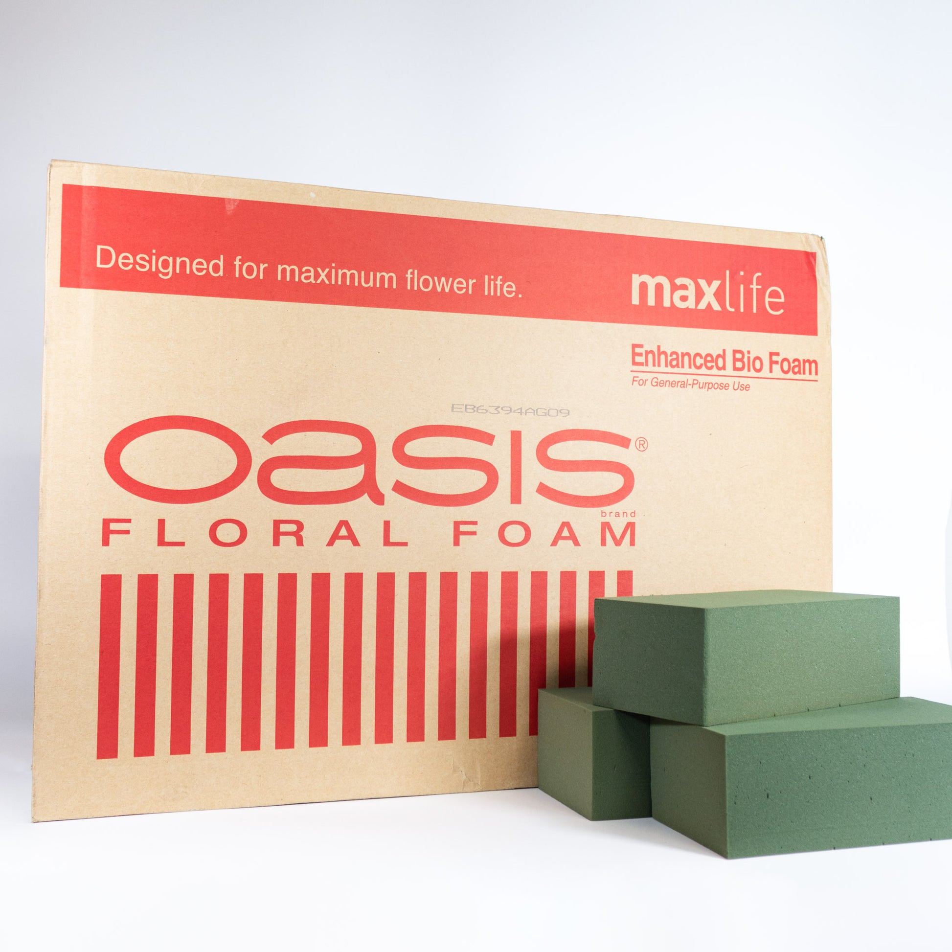 Oasis Maxlife Floral Foam  Indigo & Jade GC Floristry Gift Supplies
