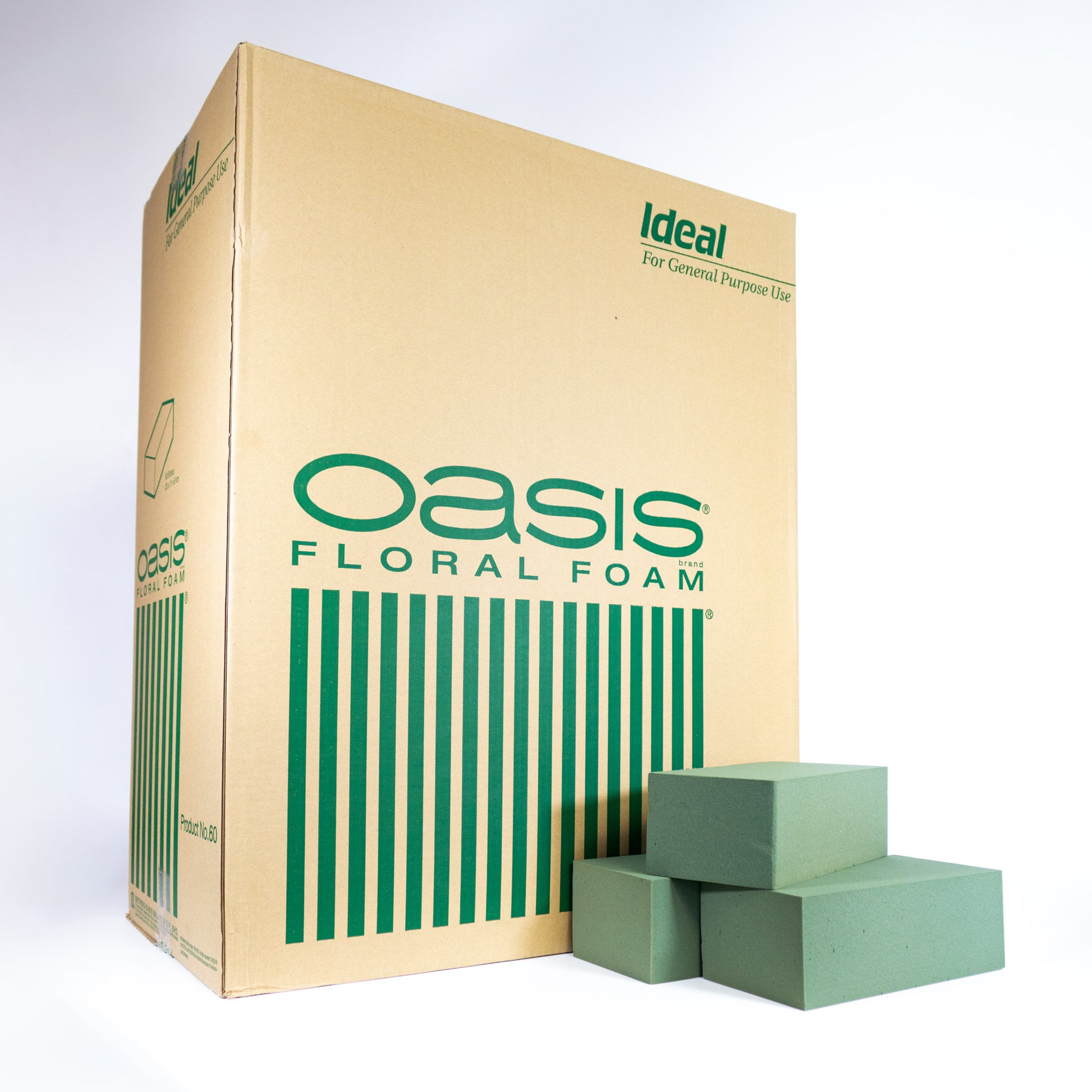 Buy Oasis 12 Floral Foam Cone MaxLife Pack of 2 Online at desertcartINDIA