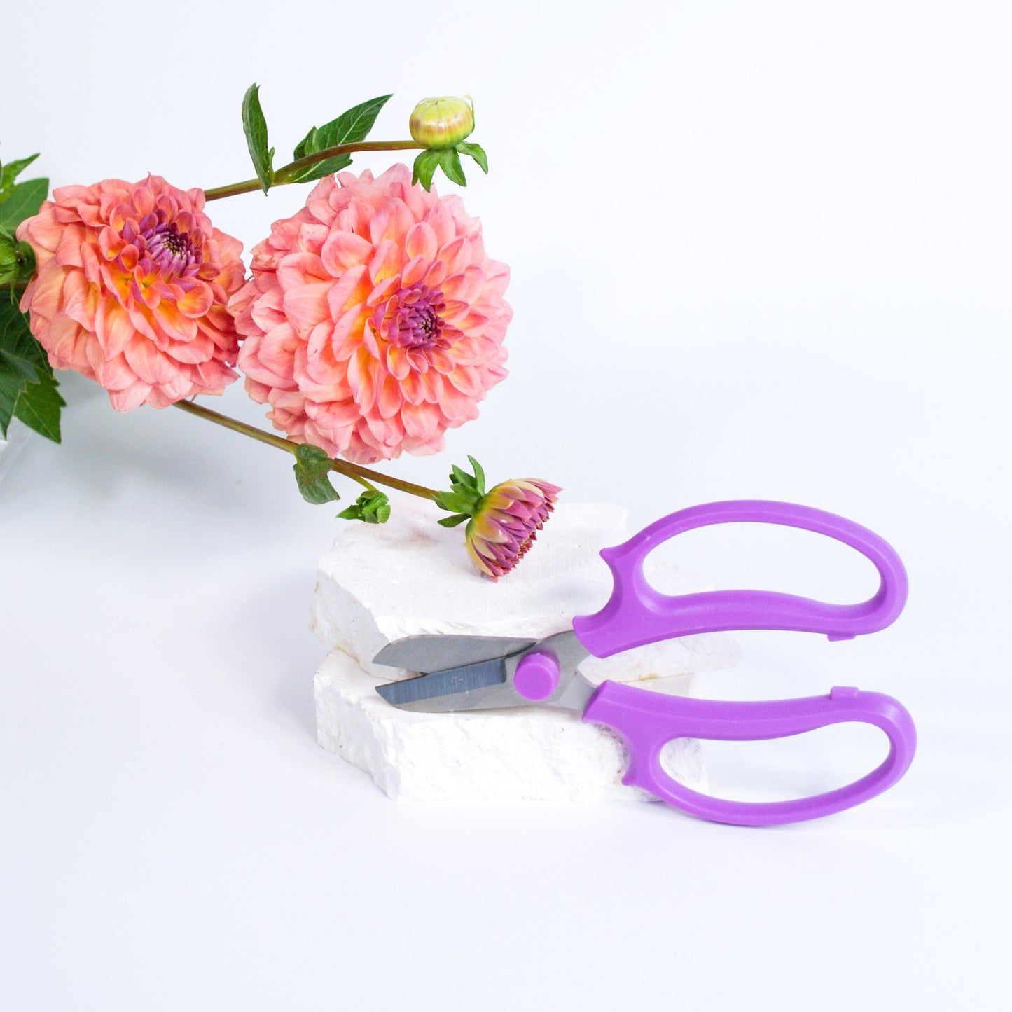 Florist Secateurs