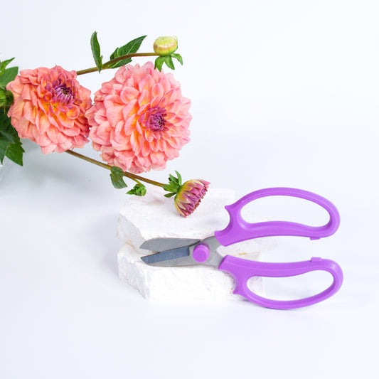 Florist Secateurs – Purple